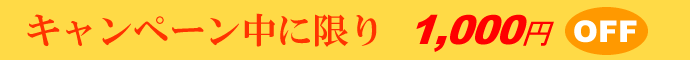 キャンペーン中に限り1000円OFF